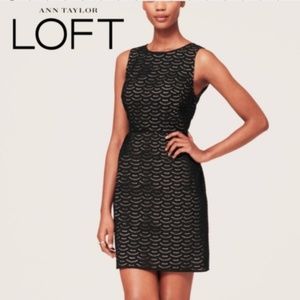 LOFT scallop lace dress